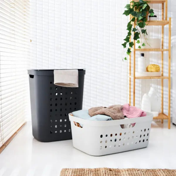 Blanchisserie et entretien ménager