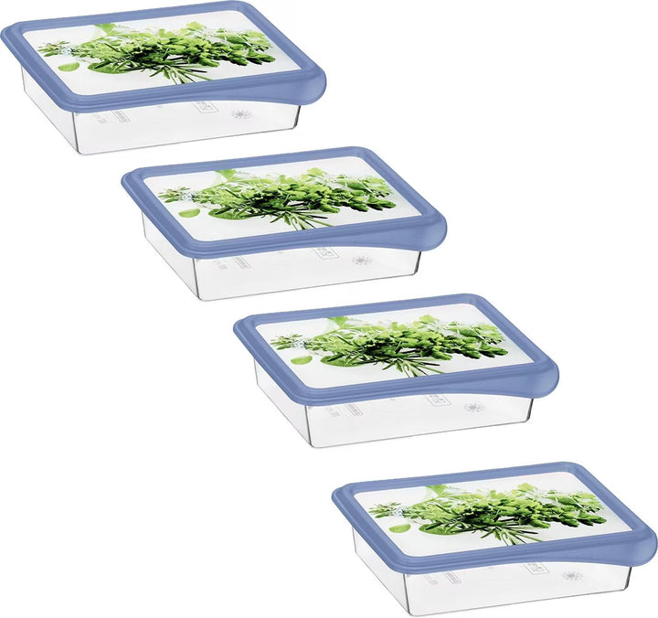 SET4 de congélation herbes aromatiques 0.20L