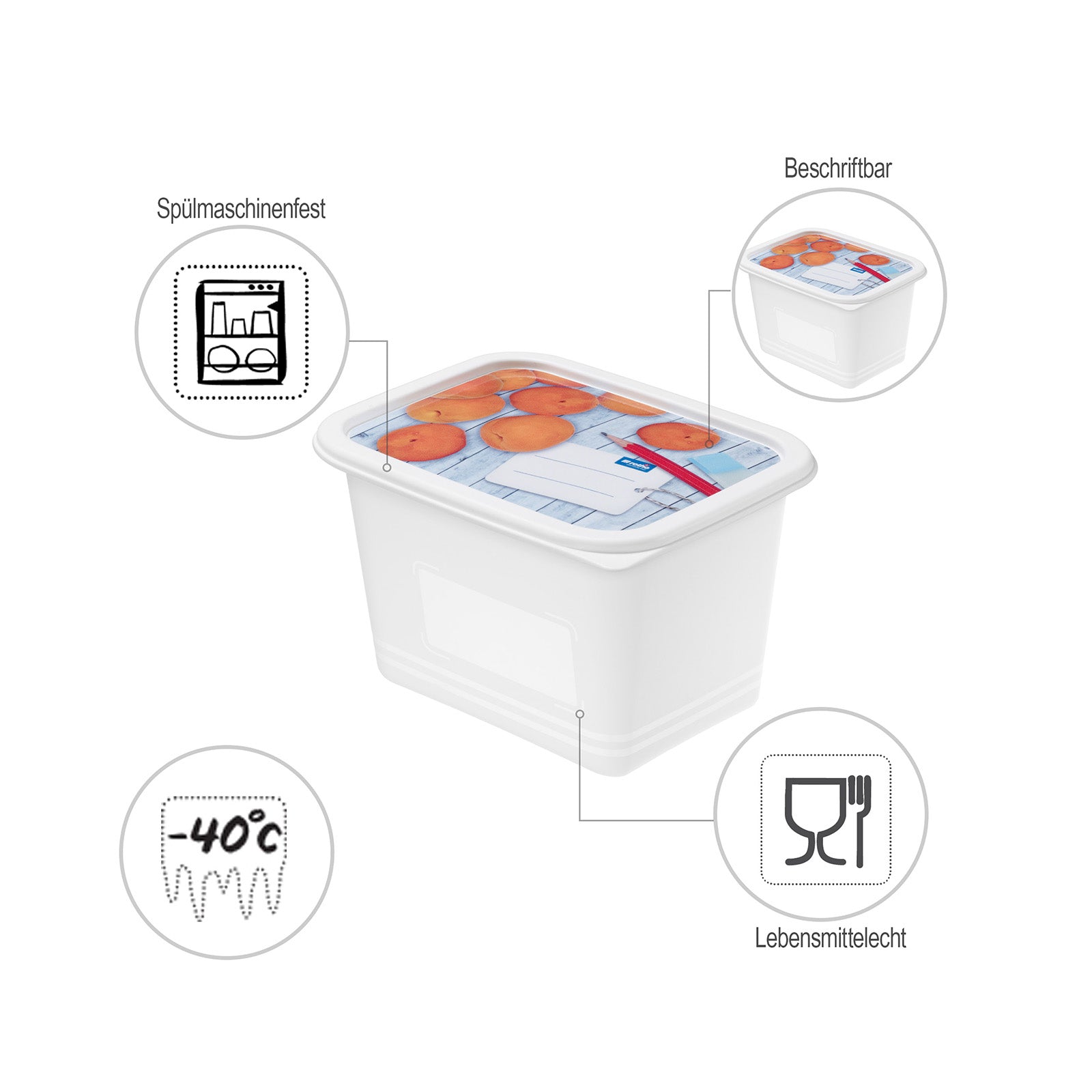 Ensemble de boîtes de congélation 4 x 1L DOMINO