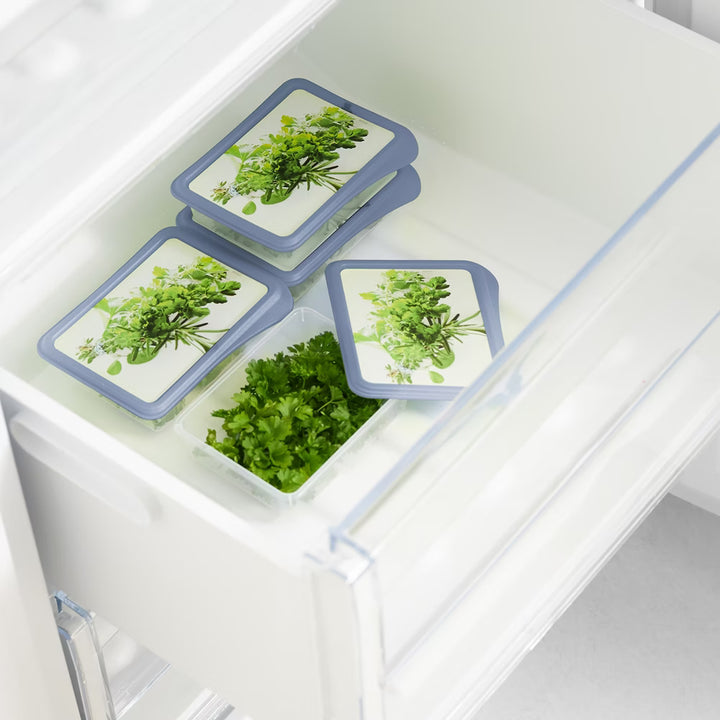 SET4 de congélation herbes aromatiques 0.20L