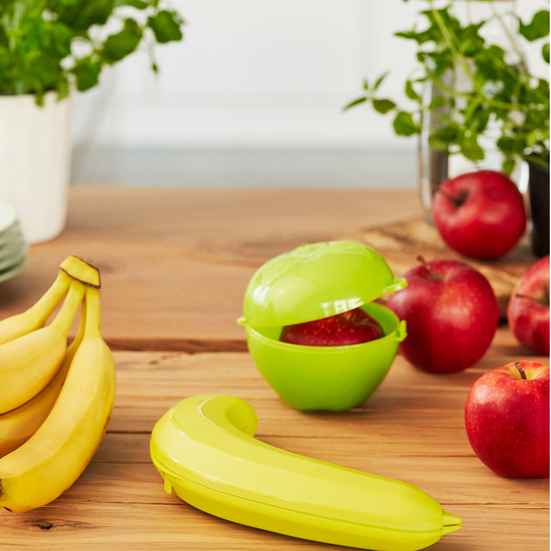 Boîte à pomme 0,55 l FUN